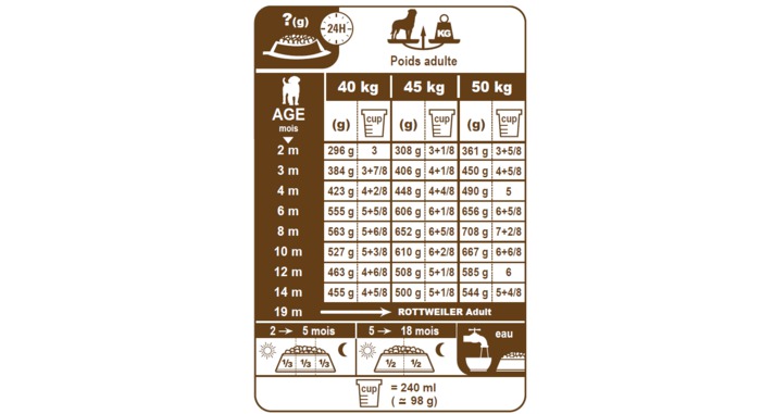 Royal canin labrador shop puppy feeding chart