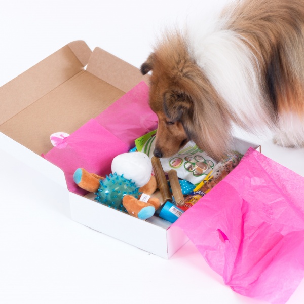Gratis Hundepakker () Gratis Hundepakker