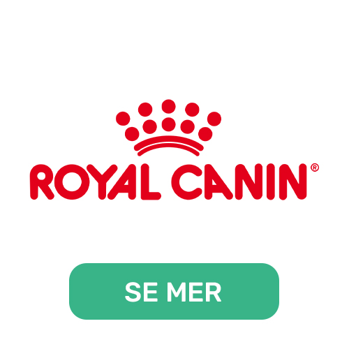 Royal Canin katte - og hundefôr