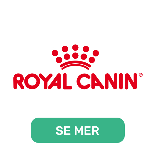 Royal Canin katte - og hundefr