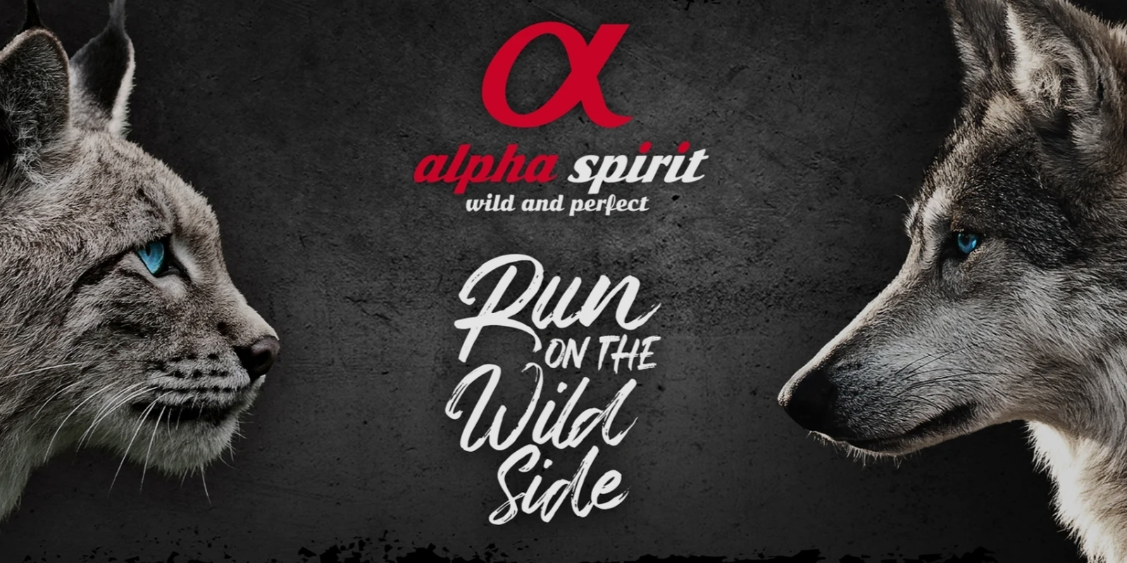 Alpha Spirit