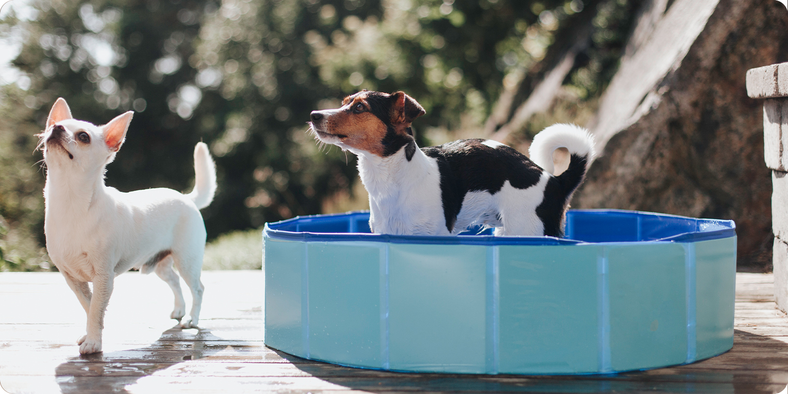 Avkjlende produkter hund