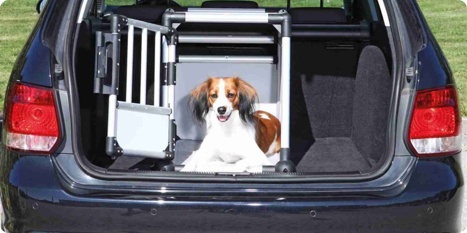 Bilbur: hundebur til bil