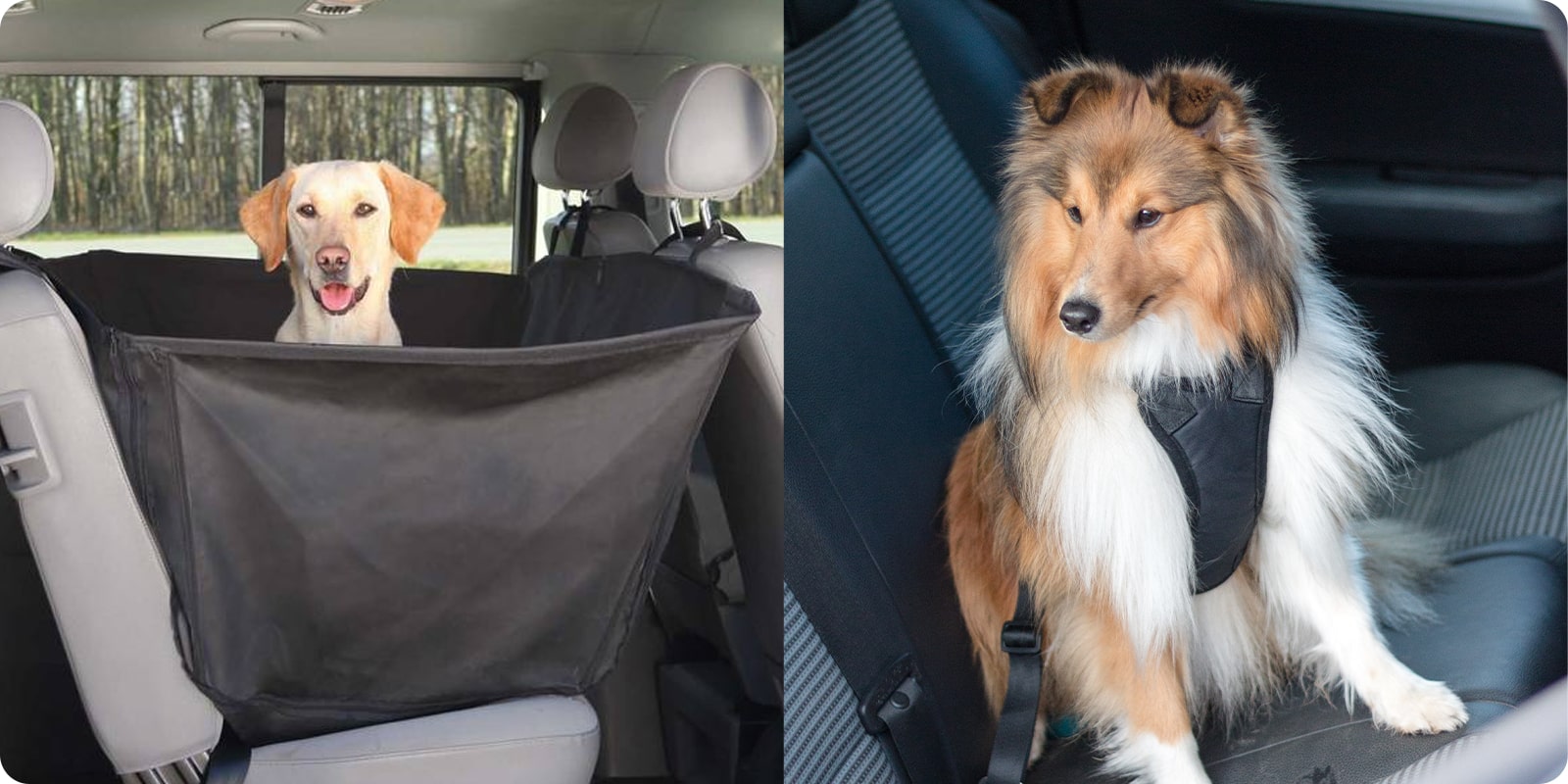 Bilsete, bilsete og bilsele til hund
