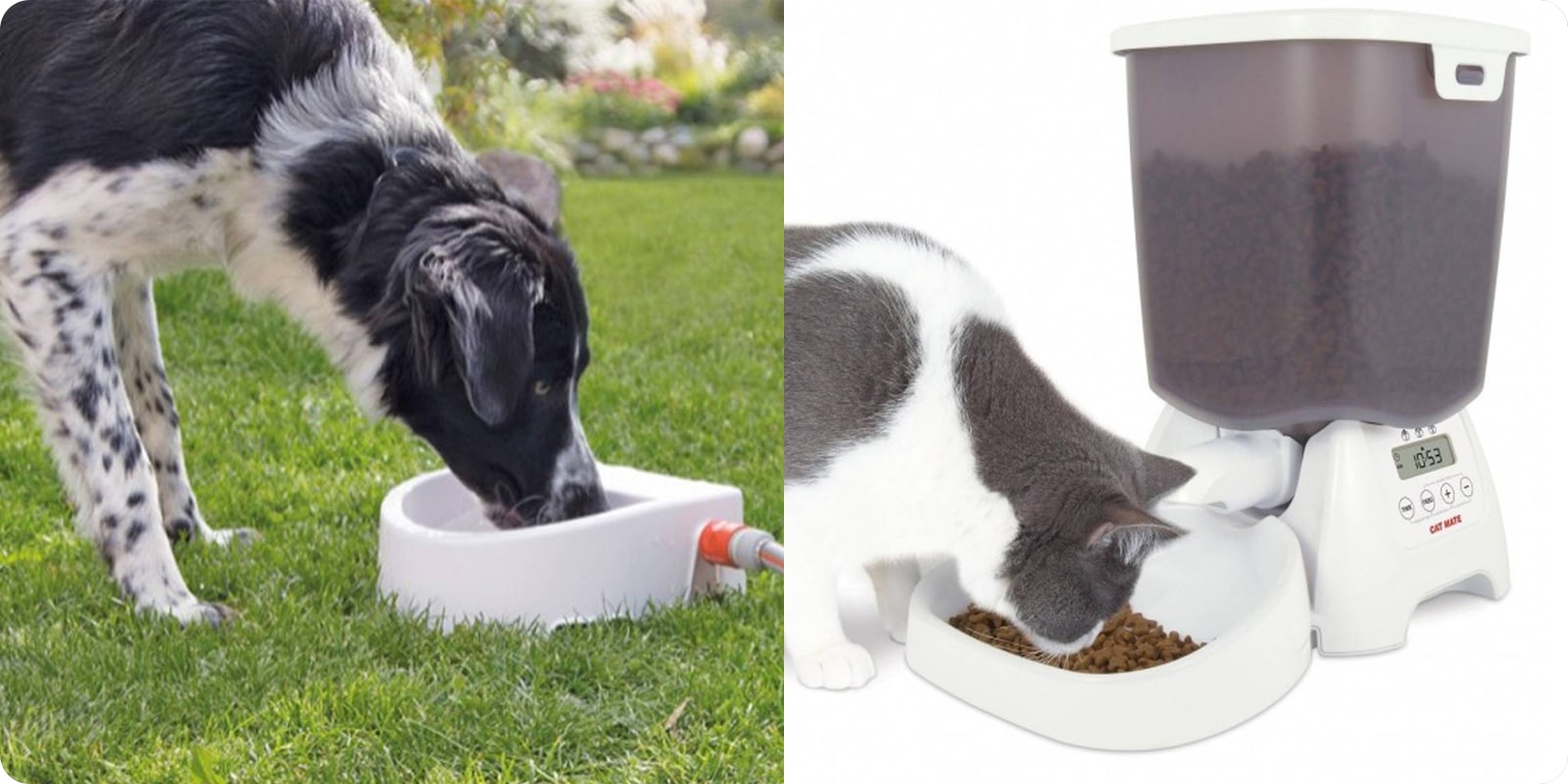 Fôrdispensere, automatiske matere og fontene for hund