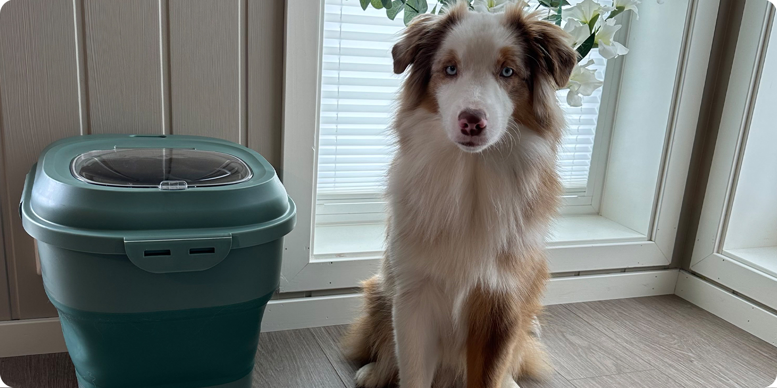 Fôrbeholder, fôrtønne til hund, fôrboks hund og katt