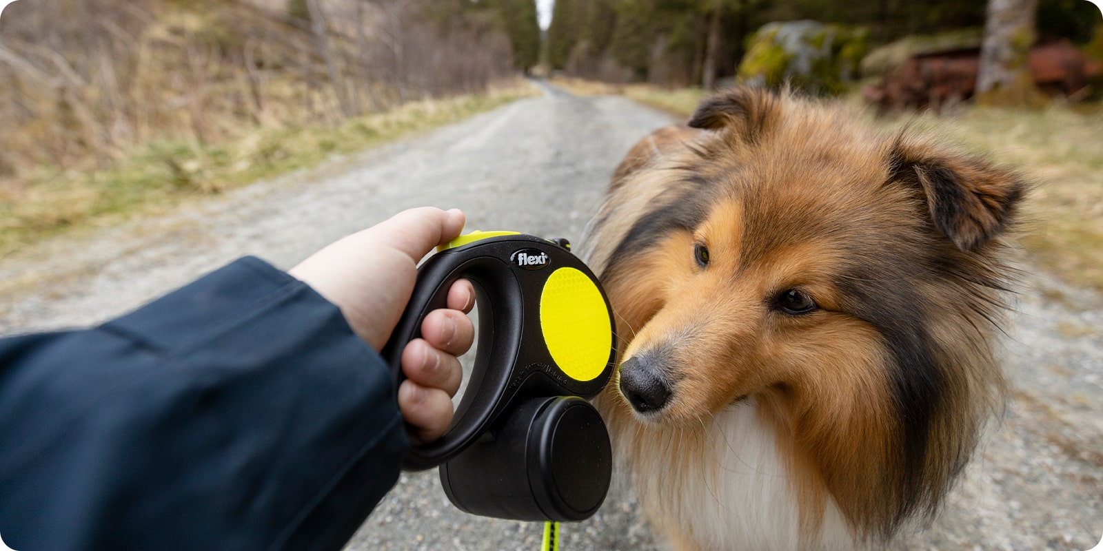 Flexi bnd, turbnd flexibnd til hund