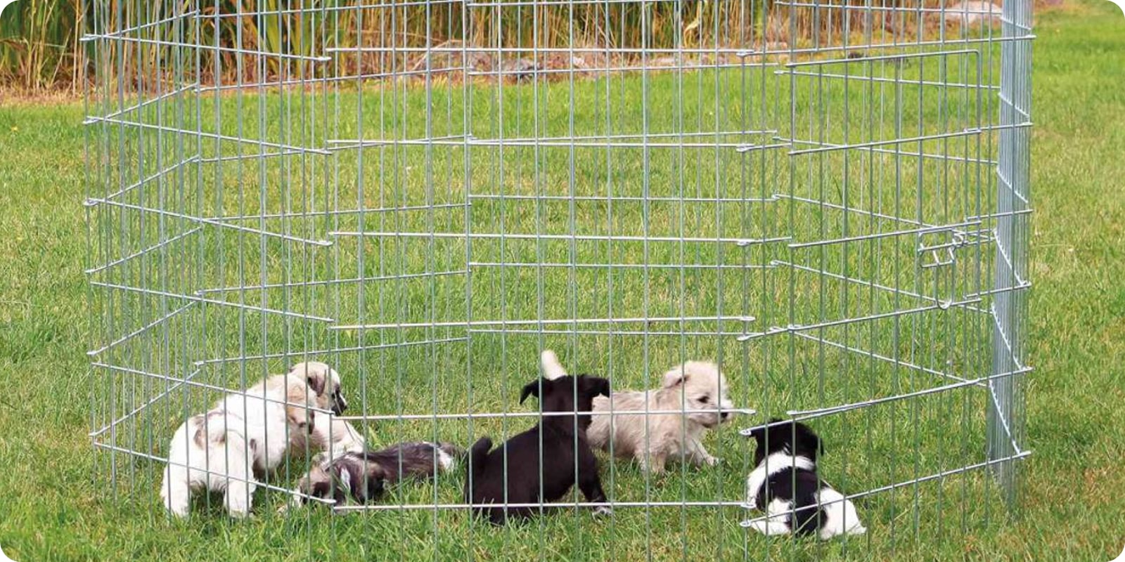 Hundegård, valpegård, luftegård til hund