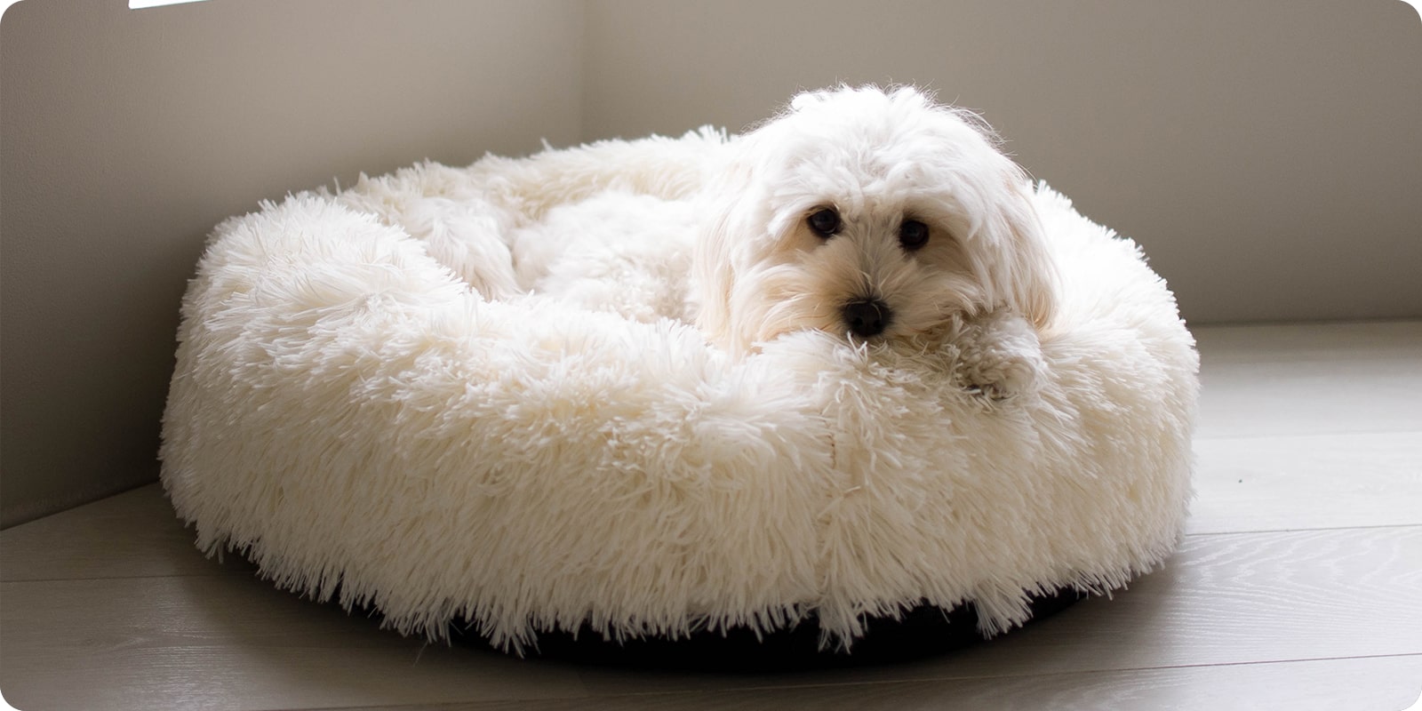 Hundesenger, seng til hund, hundeteppe, hundemadrass
