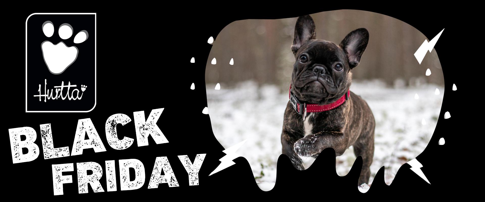 Hundeutstyr utstyr til hund