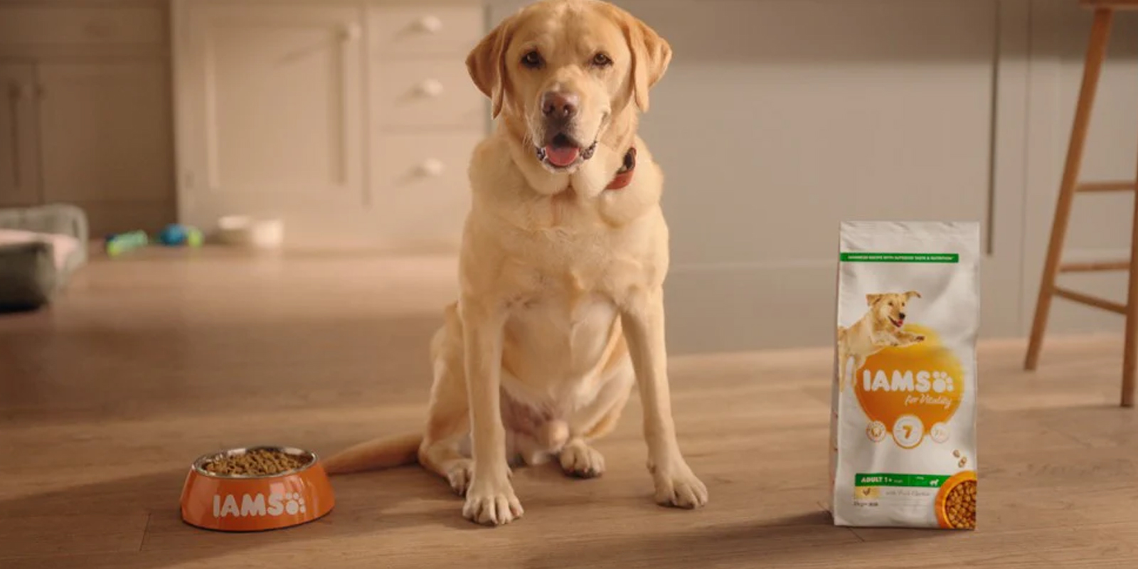 Iams hundemat og kattemat