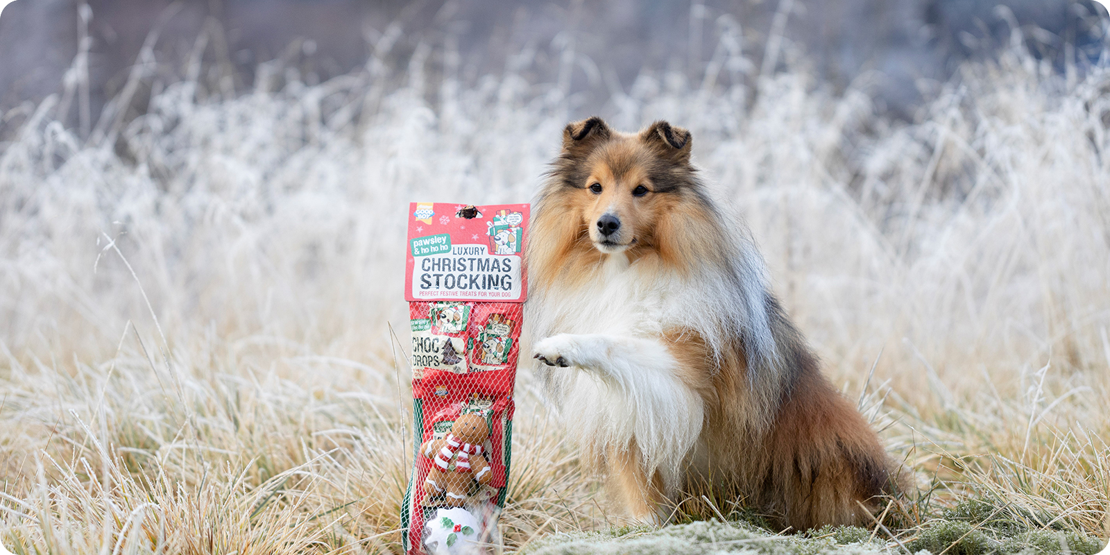 Julesnacks julegodbiter til hund