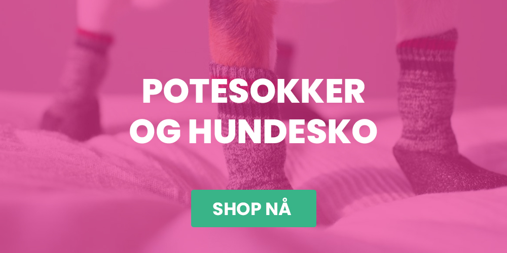 Handle potesokker og hundesko på nett