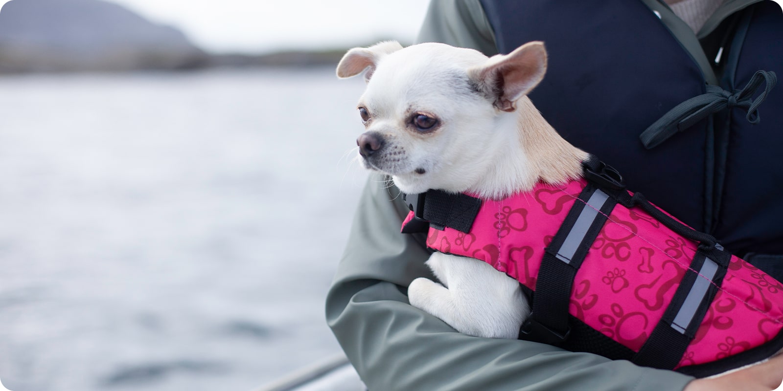 Hundesenger, seng til hund, hundeteppe, hundemadrass