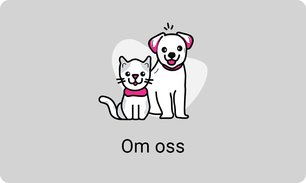 faq image
